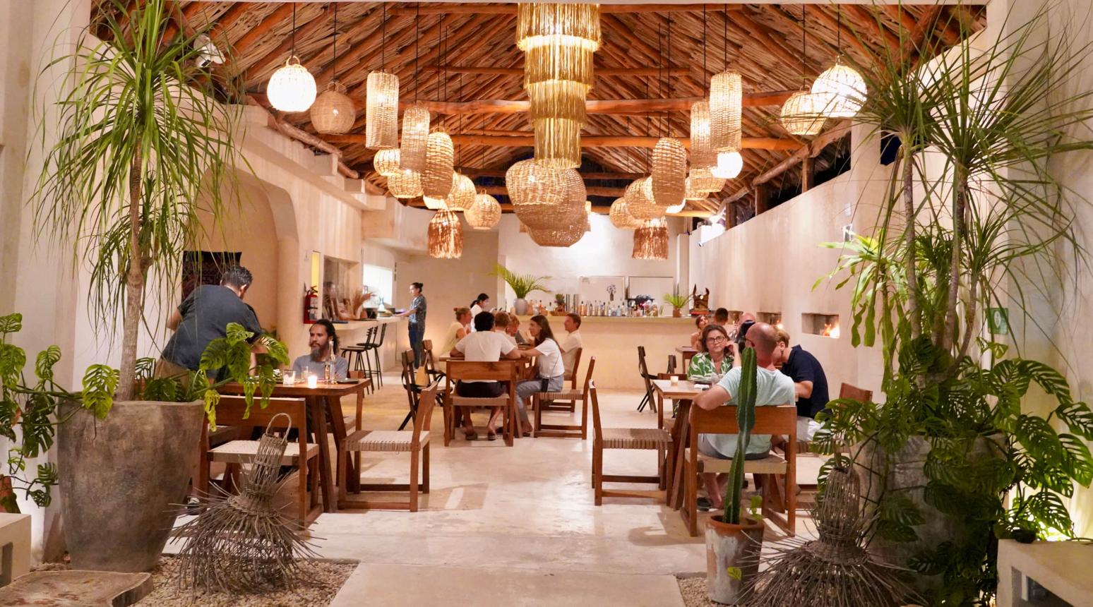 Bacalar a la mesa: cuatro restaurantes que están transformando la escena gastronómica