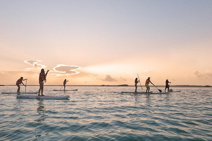 Alba in Paddle con Picnic Flottante