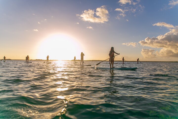 Alba in Paddle con Picnic Flottante