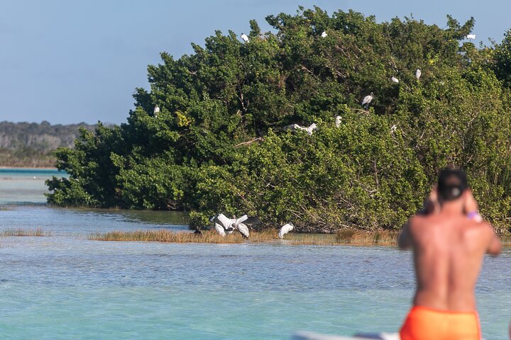 Catamaran op de Lagune van de 7 Kleuren