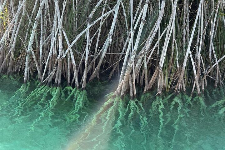 Beyond Bacalar: Exploration of the Pirate Route + Lunch