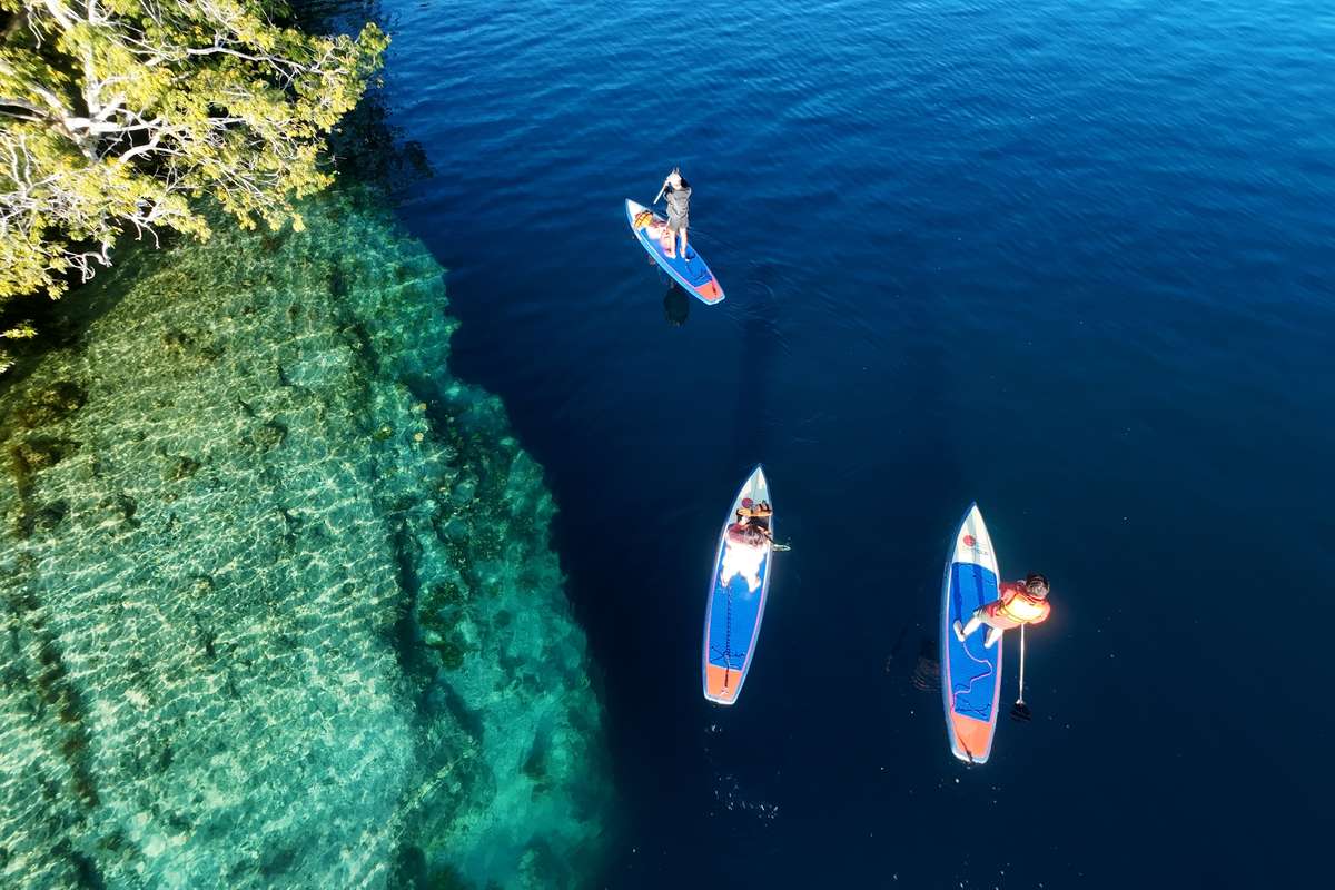 Renta de Paddleboard