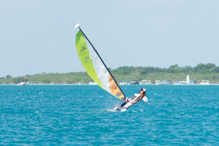 Private Ecological Tour on Recreational Catamaran