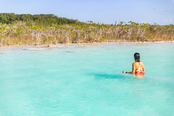 Private Ecological Tour on Recreational Catamaran