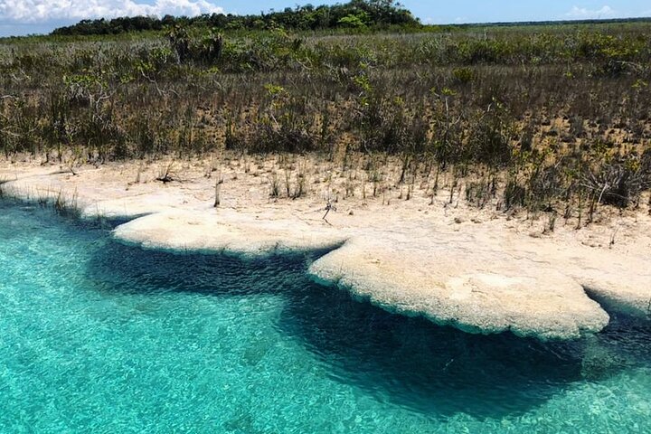 Private Ecological Tour on Recreational Catamaran